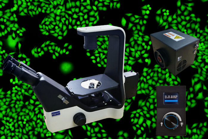 永新 NIB600 倒置六孔 LED 荧光附件 AIFL-UBG-5A-NIB600